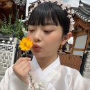 클린드림 이미지