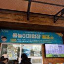 갯골생태공원(해수체험장) | 시흥 갯골 생태공원 수영장 해수체험장 준비물 샤워실 주차장