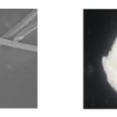 엽록소㈜ 이미지