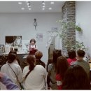 고양이 무마취 미용전문 이미지