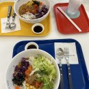 포케올데이 춘천점 | 춘천 온의동 포케 맛집 | 포케올데이, 다이어트에 딱인 모다아울렛 식당! 메뉴 추천