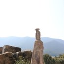 보길면-3 이미지