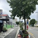태평중학교 | 대전 사주 태평동 천화신당 흥미로운 후기