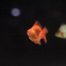 무궁화어린이공원 이미지