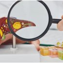 장튼튼홍내과의원 이미지