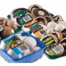 버든농장 이미지