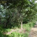 포항시남구3 이미지