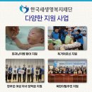 뉴데이라이프 이미지
