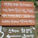 스테이 마중 이미지