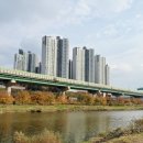 안양천 다목적광장 이미지