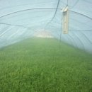 옥돌농장 이미지