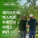 세이브트리엑스퍼트 이미지