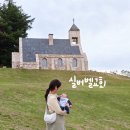 바우농장 | 평창 여행코스 실버벨교회 동물농장 아기랑 함께 다녀온 후기