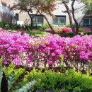 그린비브레인어린이집 이미지