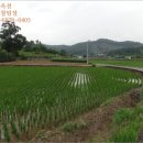 답)예상낙찰가♠ 충남 부여군경매>충남 부여군 세도면 화수리 210-2 경매 무료권리분석♡ 2017타경2553
