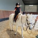 골든빌리지펜션 이미지