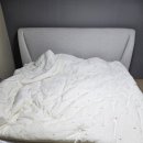 이브멀티카페 네이버블로그