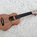 띵가띵가 우쿨렐레 이미지