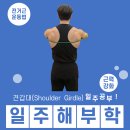 필라테스 (A) | 안양 재활 pt I 소마핏에서 알려주는 어깨 찝힘 해결 운동법