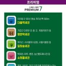 서울신강초등학교