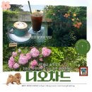 (주)디오 | [전주 갤러리 카페] 예쁜 정원과 차우차우가 있는 “디오차드” 내돈내산 방문후기