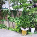 고모네숯불갈비 이미지