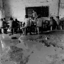 (주)평진 이미지