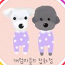 개엄마 이미지