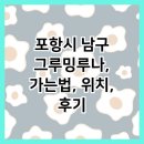 그루밍루나 | 포항시 남구 그루밍루나, 가는법, 위치, 후기