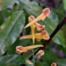 중랑천변4(녹천교) 이미지