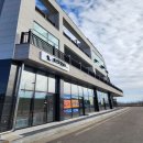 화양견화 이미지