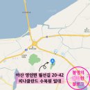 삽교화원 | 아산 피나클란드 수목원 - 국화축제 후기 / 평일 주말 주차