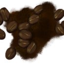 단하나피티 이미지