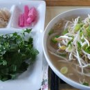 국수바라기 이미지