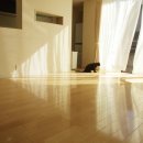 작가의 집 이미지