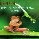 미녀 에스테틱