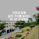 의료법인 큰나무의료재단 이미지