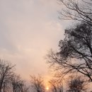 카페허브영남대점 이미지