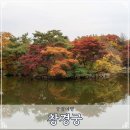 창경궁 홍화문 옆 | 창경궁 서울 가을 명소 궁궐담장길 입장 산책 후기