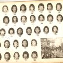 포항중앙초등학교 이미지