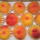 맥반골농원 이미지