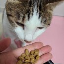 어피니티코리아 이미지