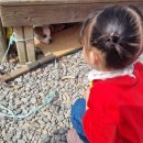 맘마목장 이미지