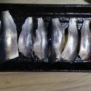 공룡알 팬션 횟집 이미지