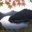 문무합기도 이미지