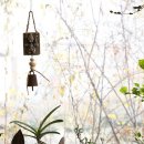 사각하늘 이미지