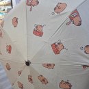 코타키나발루 기념품샵 추천 &lt;헬로마켓&gt; 내돈내산 쇼핑리스트
