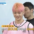 씨익 Daum카페