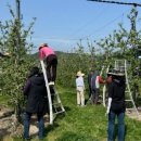 농업기술센터 흥해청사 이미지