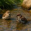 메이퓨어의원마포공덕점 이미지